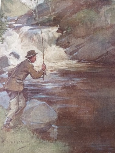 Fishing for trout - trout, sporting
