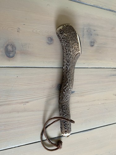 Antique vintage staghorn - vintage,