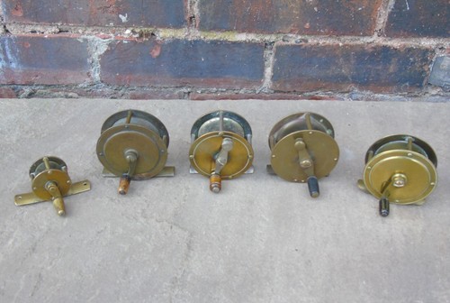 Collection antique - collection, 5