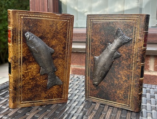 Antique sturm reflection - antique,