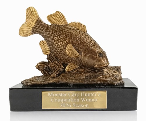 Personalised antique gold carp - personalised,
