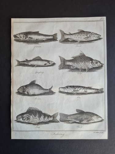 Antique 1792 print fishing - antique,